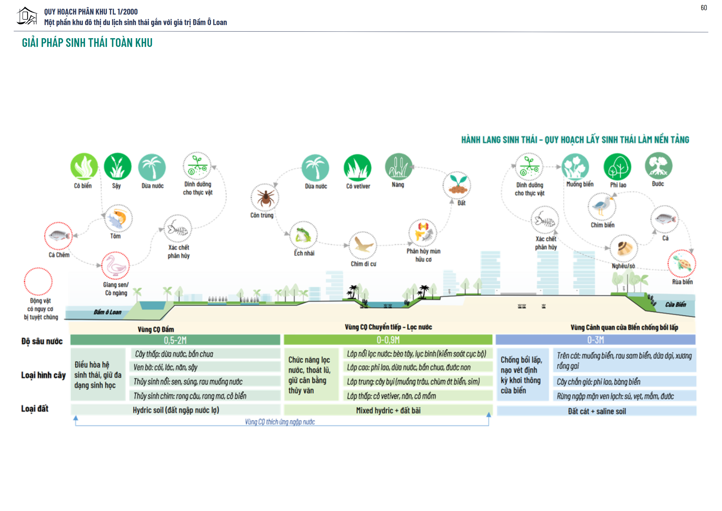 GRADUATION PROJECT: O LOAN LAGOON-63