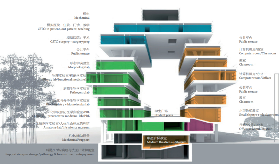 汕头大学新医学院主楼丨中国汕头丨赫尔佐格&德梅隆建筑事务所（瑞士）,CCDI悉地国际-36