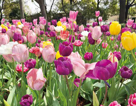 勝地|到公园去探探“动静”！-9