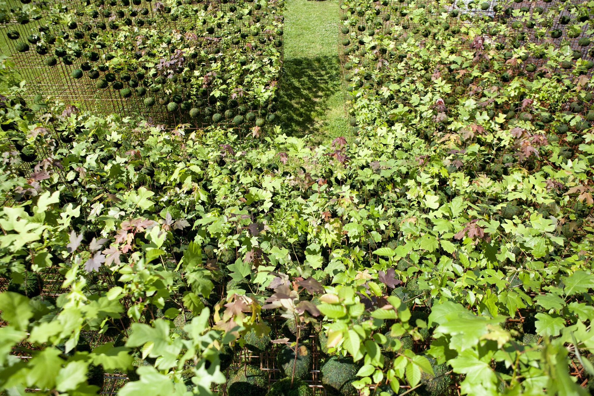 Kokedama Forest Installation,可持续微型森林雕塑-16