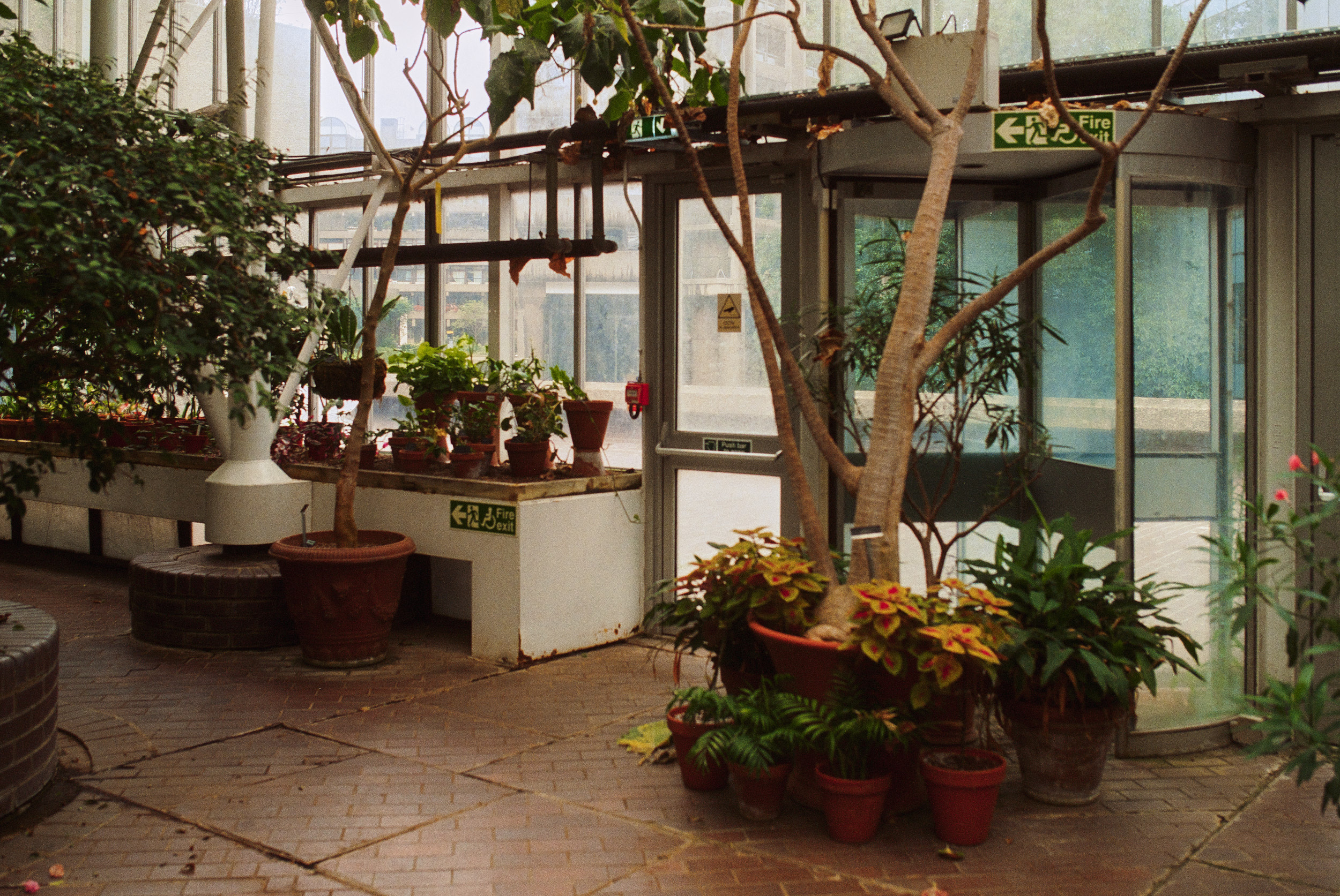 巴比肯温室丨英国伦敦-45