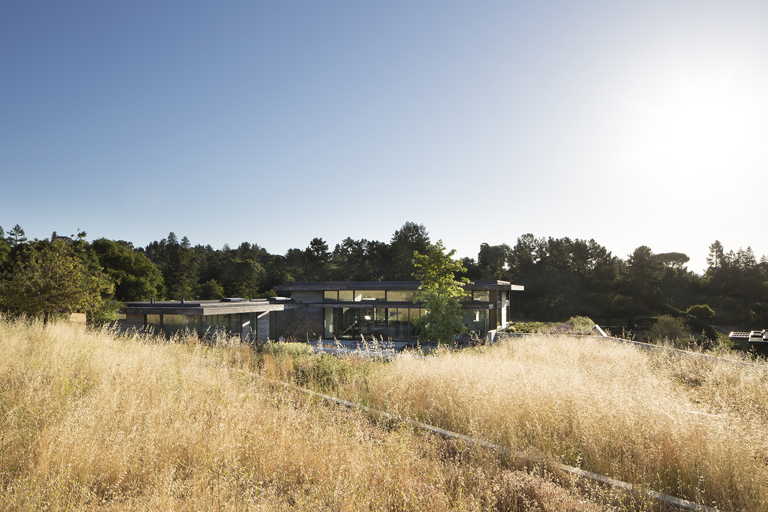 THE MEADOW HOME Feldman Architecture-10