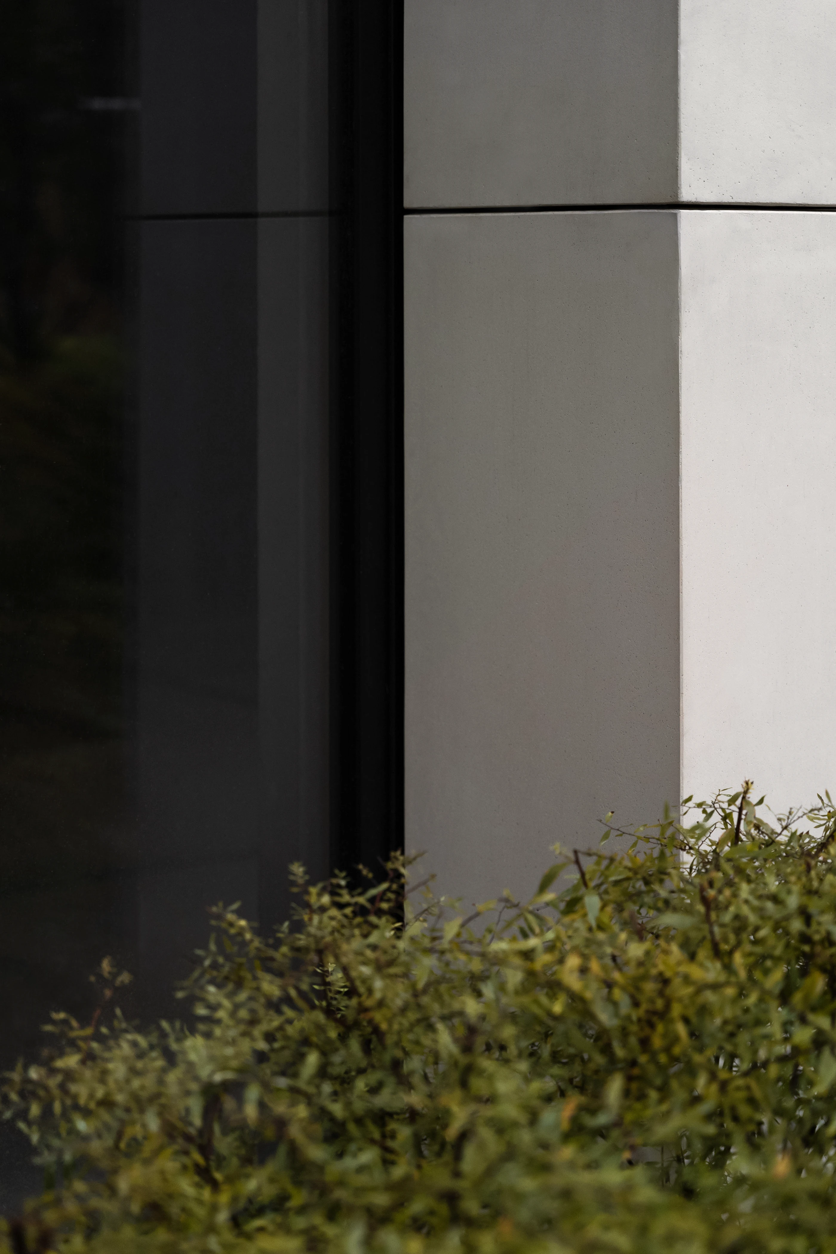 梦幻之家丨俄罗斯莫斯科丨Tsimaylo Lyashenko & Partners-8