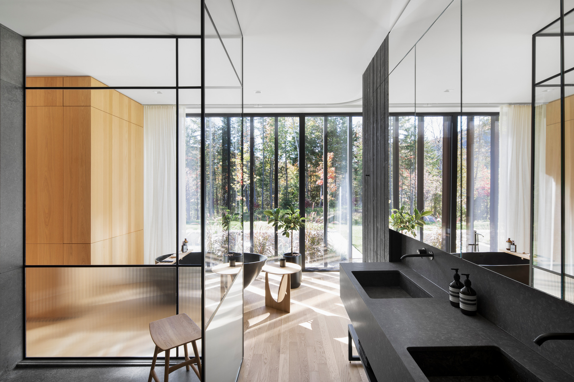 丨加拿大丨ACDF Architecture-39