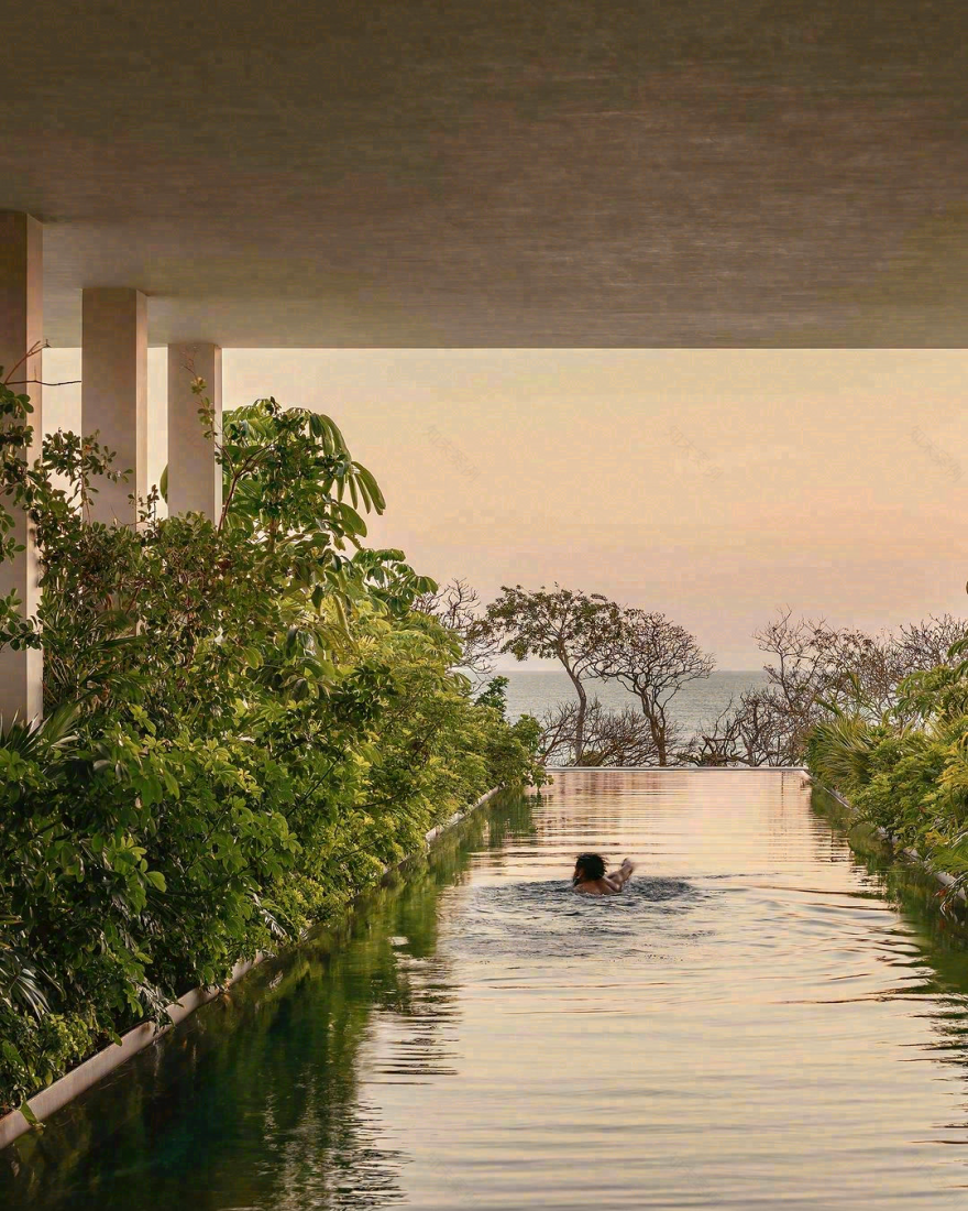 塔马约博物馆丨墨西哥墨西哥城丨Bernardo Quinzaños,CCA-79