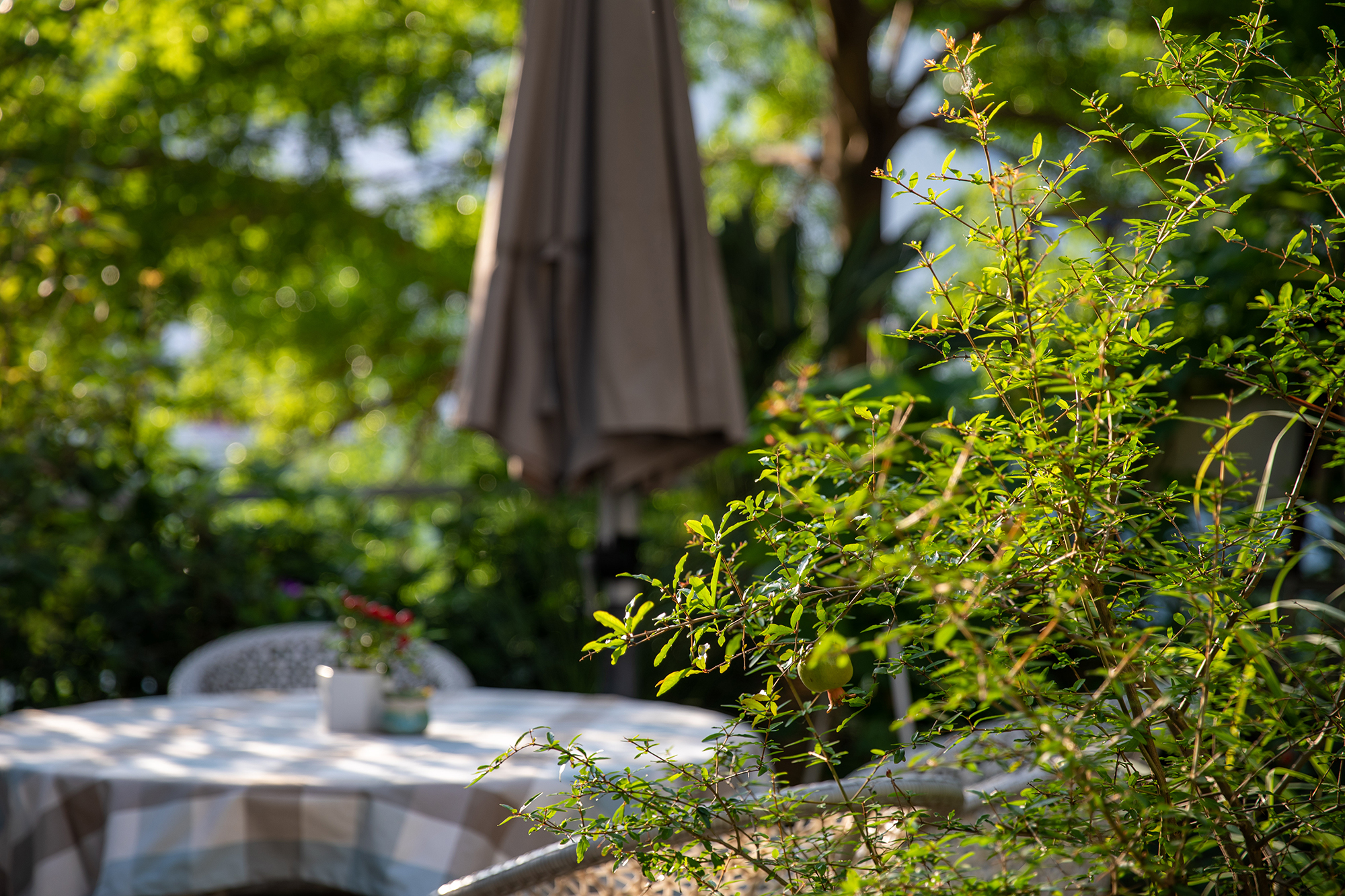 深圳南海意库5号楼屋顶花园-35