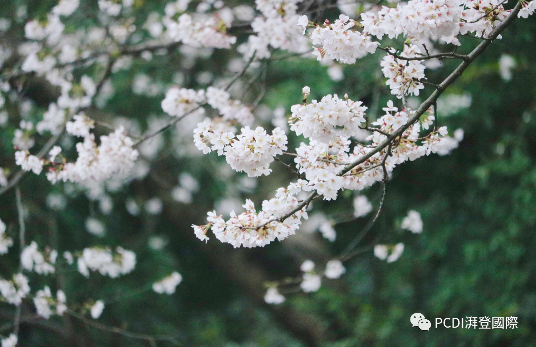 武汉楚河汉街 | 城市文化与现代商业的完美融合-33