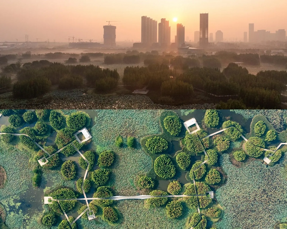 漂浮的森林:南昌市鱼尾洲公园丨中国南昌丨土人设计-31