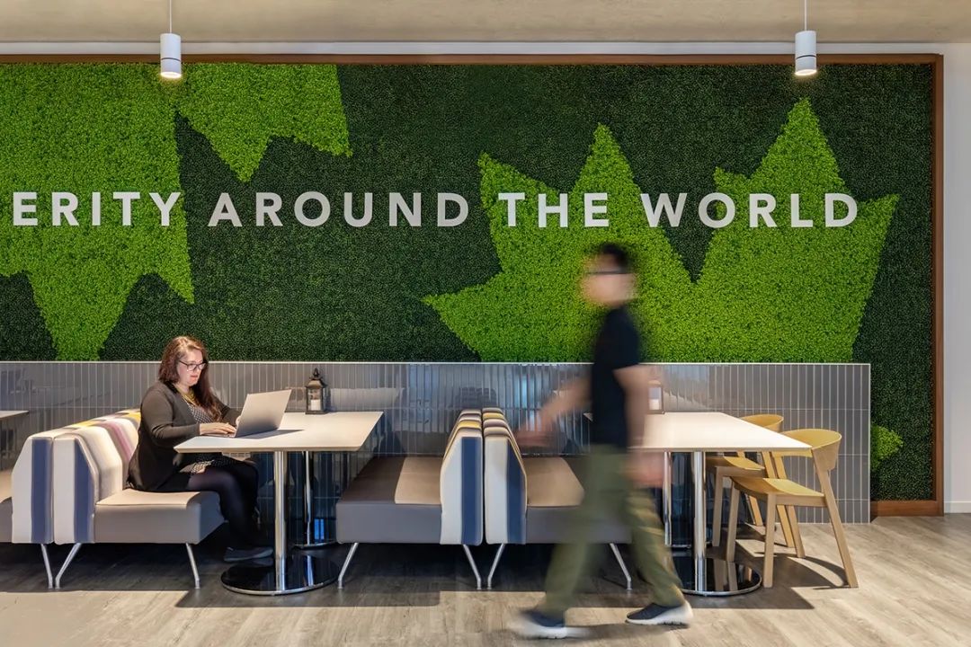 财捷集团 Intuit 加拿大总部设计丨加拿大多伦多丨HOK 贺克-20