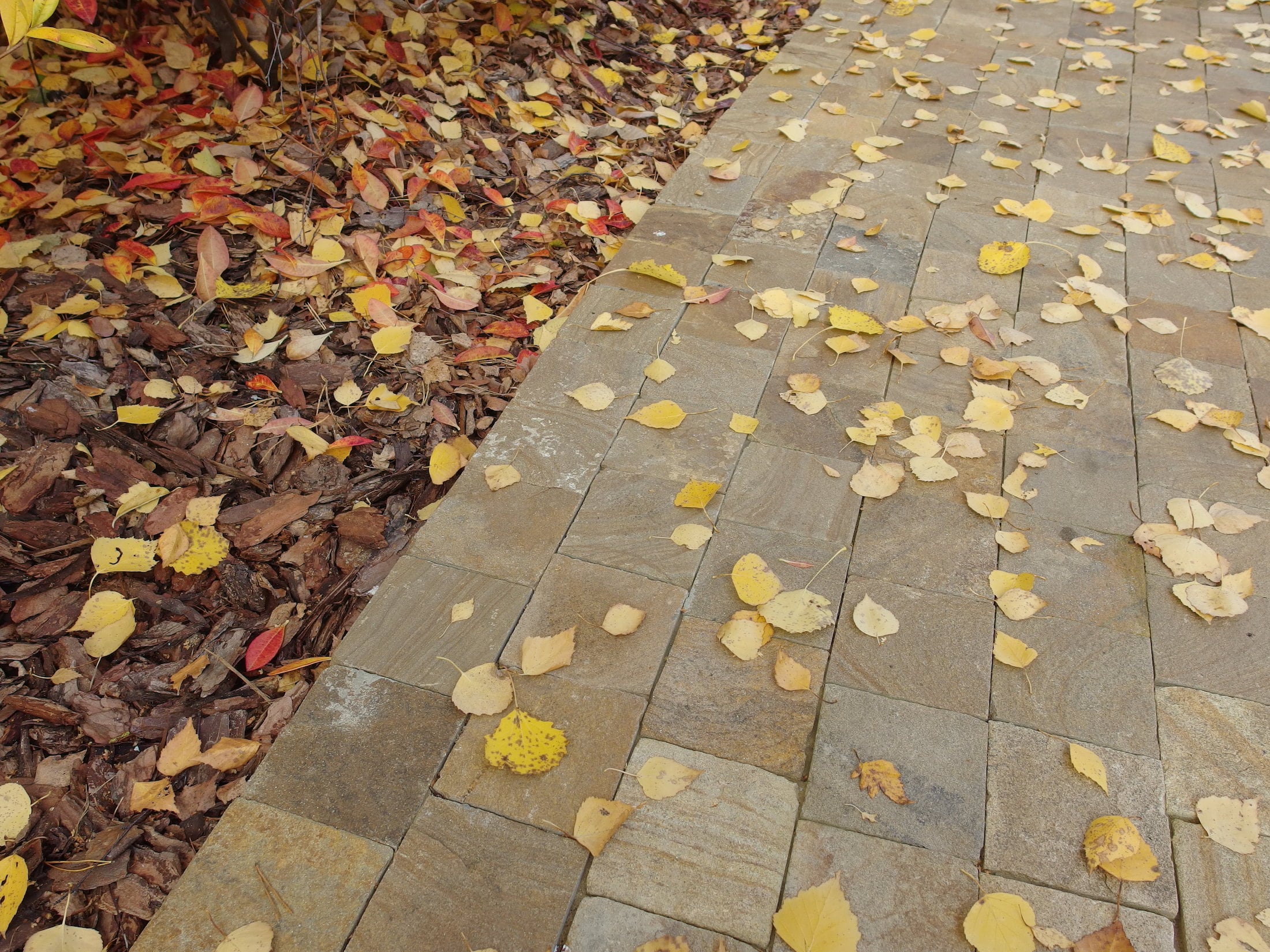 莫斯科北部童话森林湖景-26