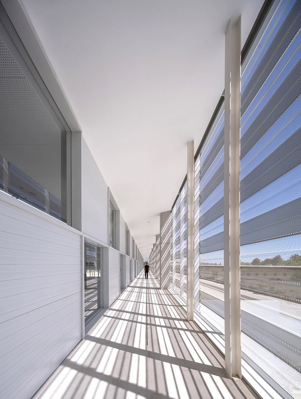 San Vicente del Raspeig 市政体育馆丨西班牙-103