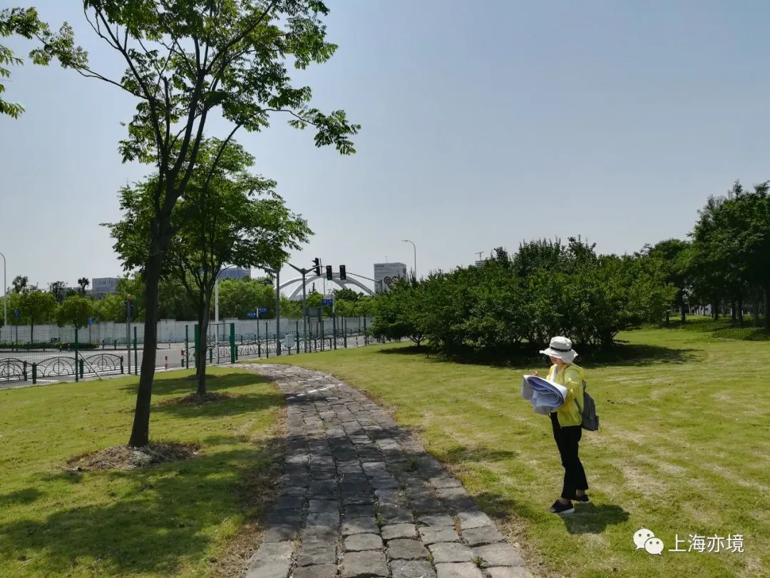 亦境那些人 | 姚素梅的绿化设计之路-33