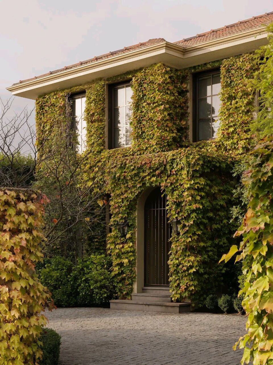 Field House丨墨尔本老宅里的温润空间美学丨澳大利亚墨尔本丨CJH Studio-44