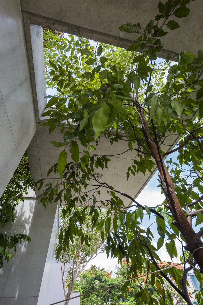 Stacked Planters House | VTN-8