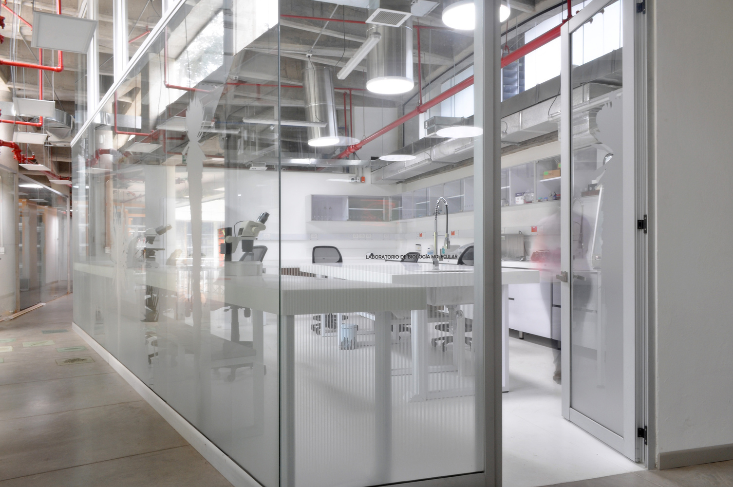 波哥大植物园植物标本馆-43