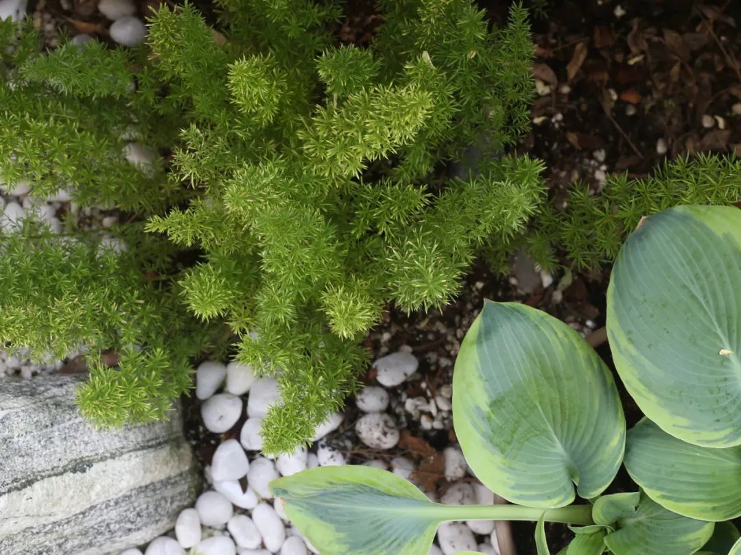 四月天小院丨禾景装饰工程有限公司-65