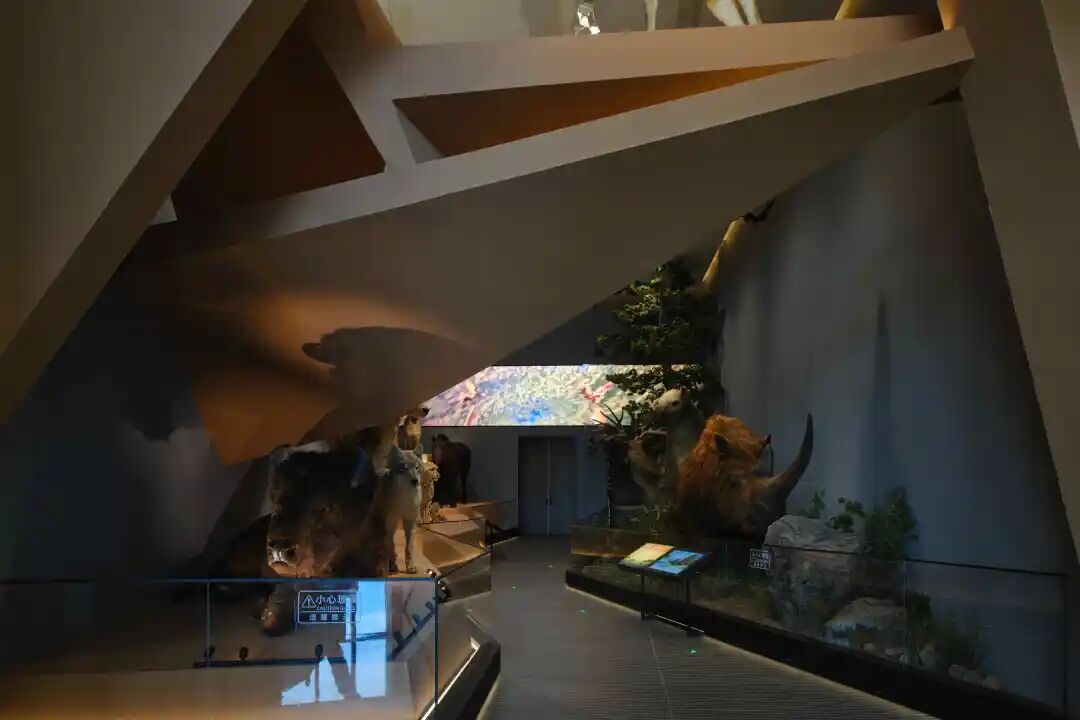 【AT】河北建院作品│顺势就脉——泥河湾遗址博物馆-61