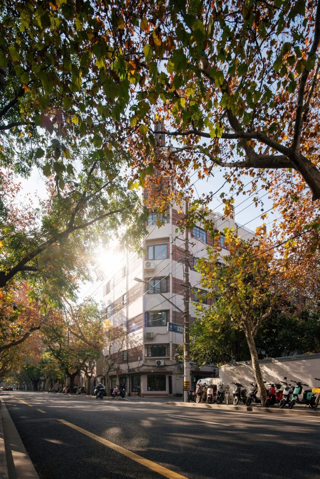 乌鲁木齐南路176号等优秀历史建筑保护性修缮工程·安康公寓丨中国上海丨华东建筑设计研究院有限公司历史建筑保护设计院-78