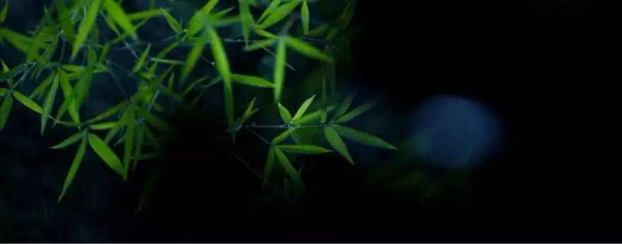 无用之美 | 品茗、赏雪、寻幽的室内设计-13