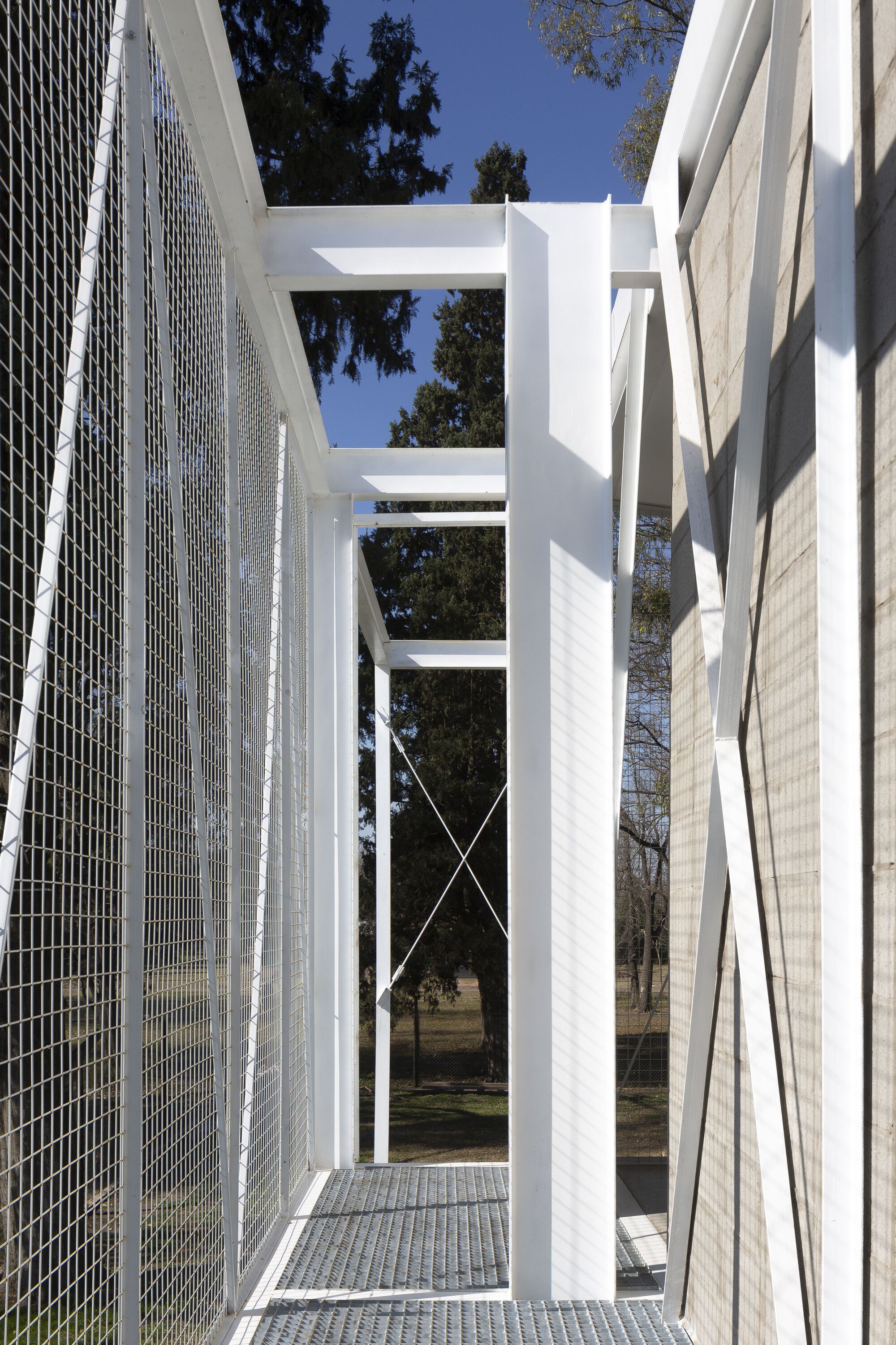 IB 之家丨阿根廷丨Estudio Ferrazini-23