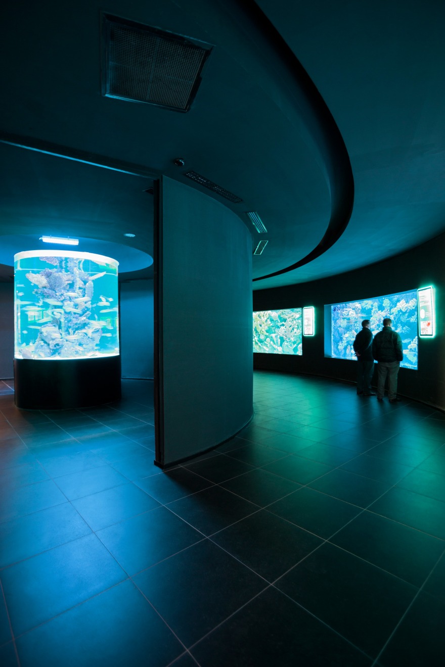 安塔利亚水族馆-16