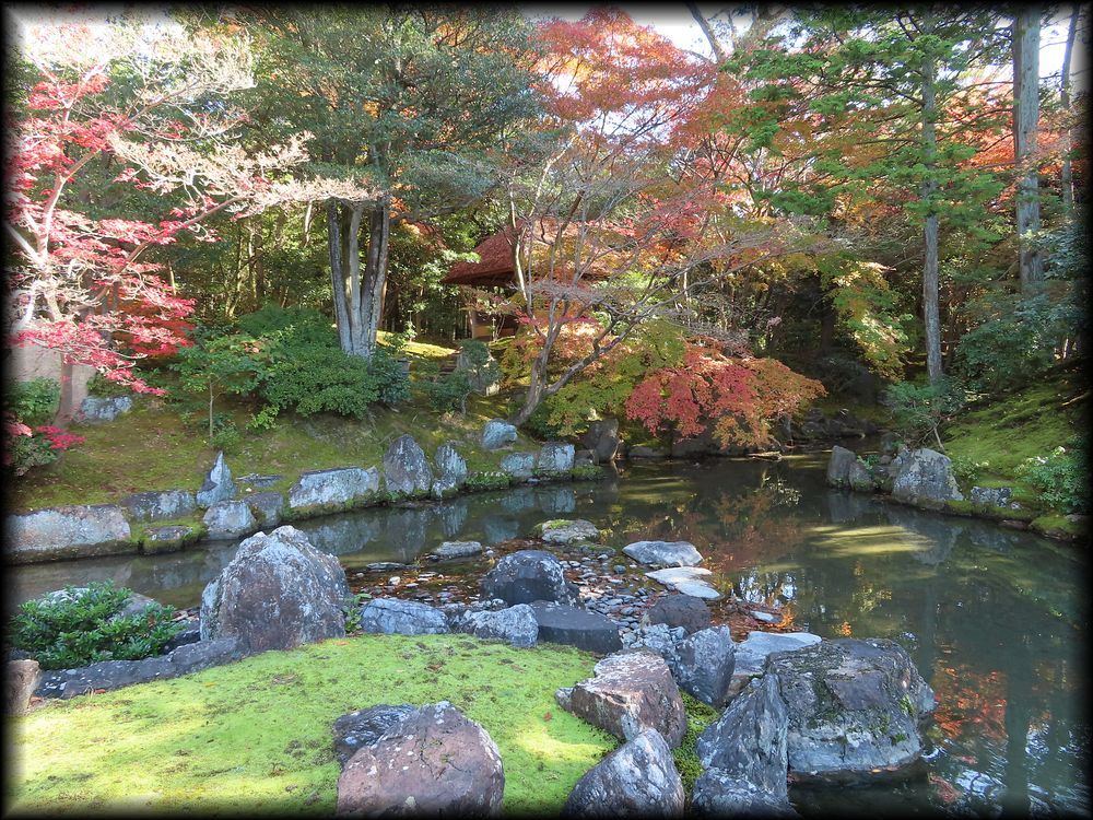 桂离宫·松琴亭丨日本京都-22