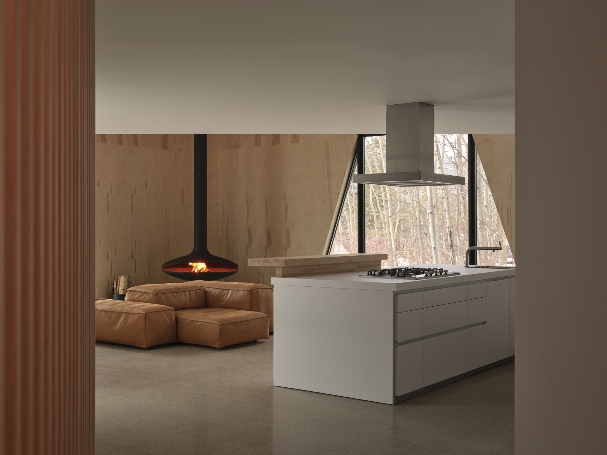 猫科滑雪小屋丨加拿大丨Atelier RZLBD-9