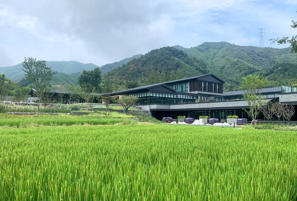 安吉柏翠姚良度假酒店 | 保留乡村记忆的现代度假胜地-19