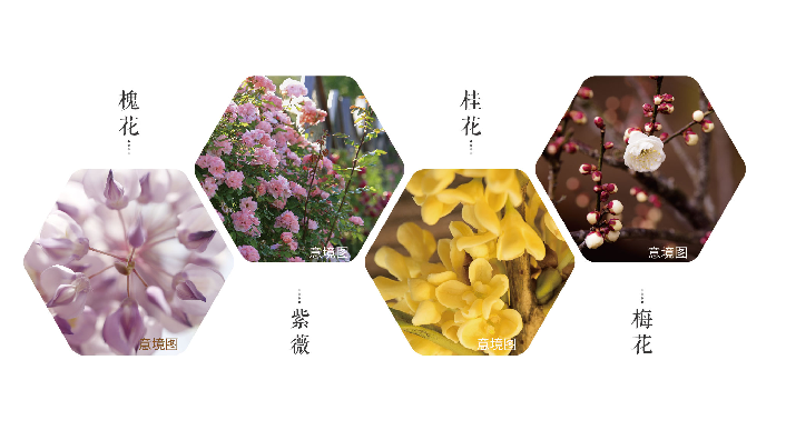 恒大重庆湖景园林丨中国重庆丨恒大集团重庆公司-43