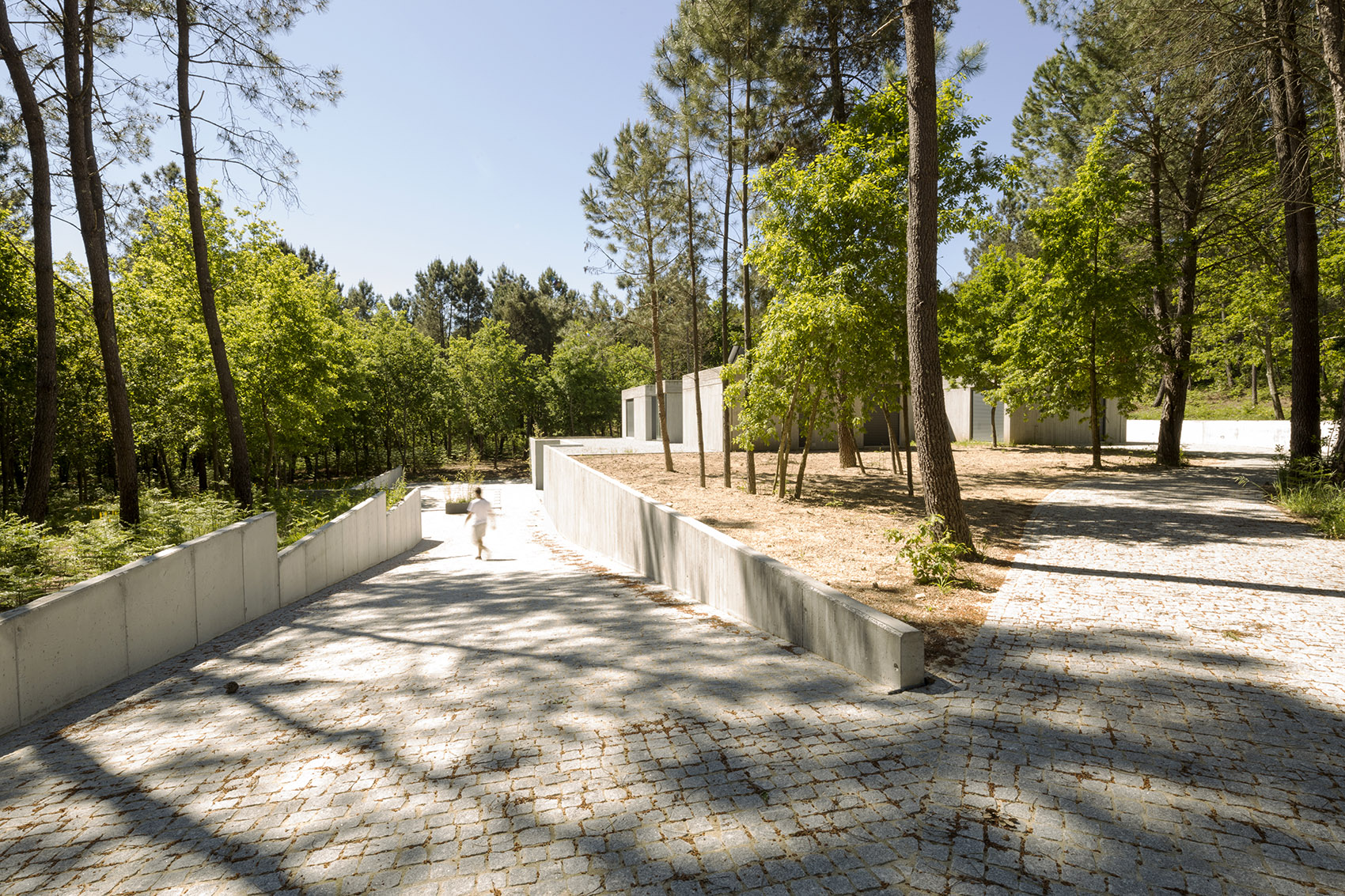 隐于自然的混凝土住宅,葡萄牙/ waataa-10