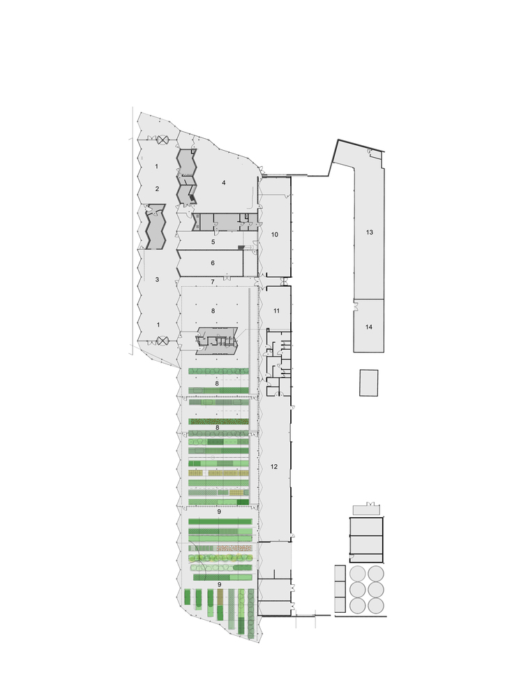 新西兰克赖斯特彻奇植物园中心-36