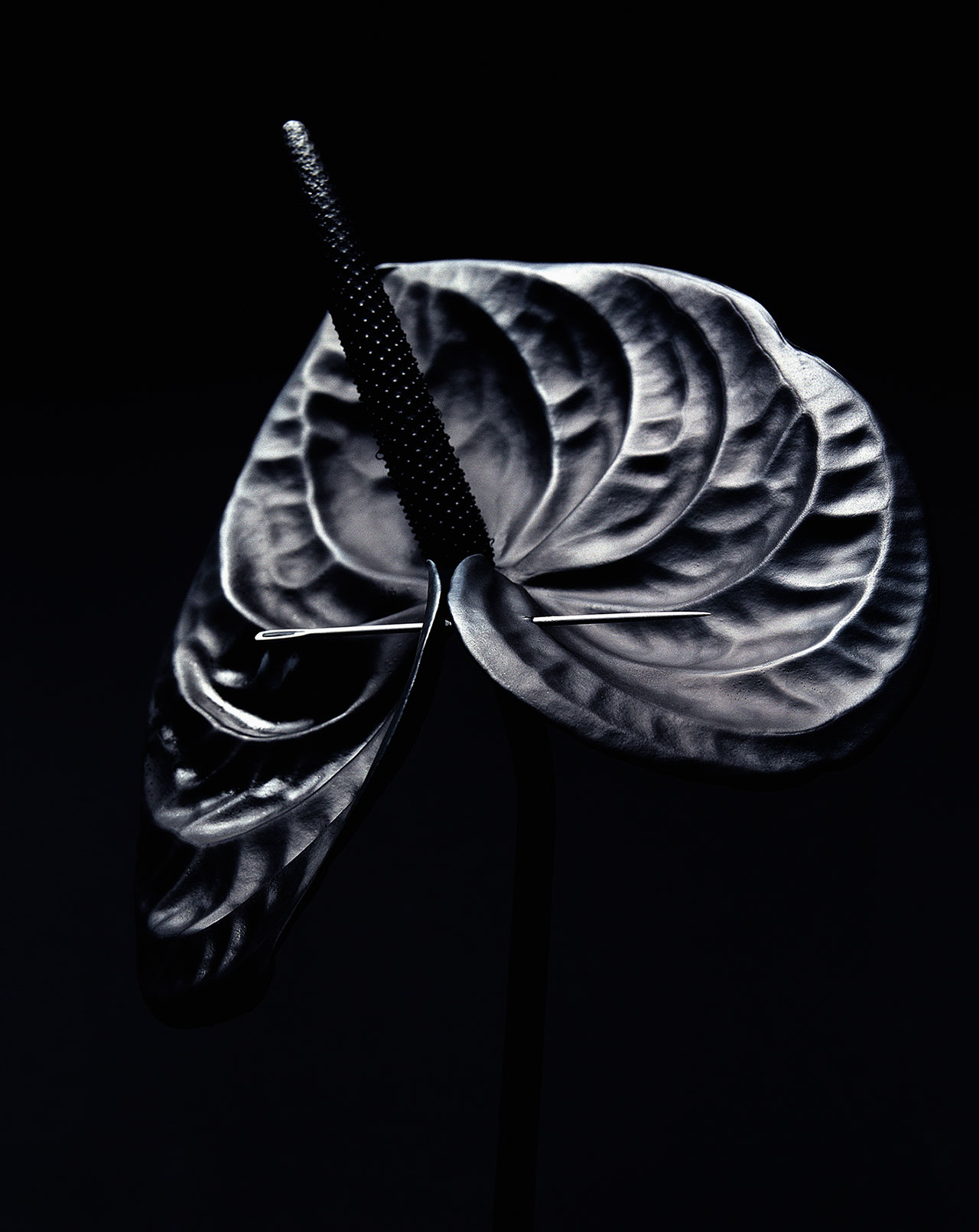 奇异梦境 | 摄影师 Namiko Kitaura 的艺术世界-51