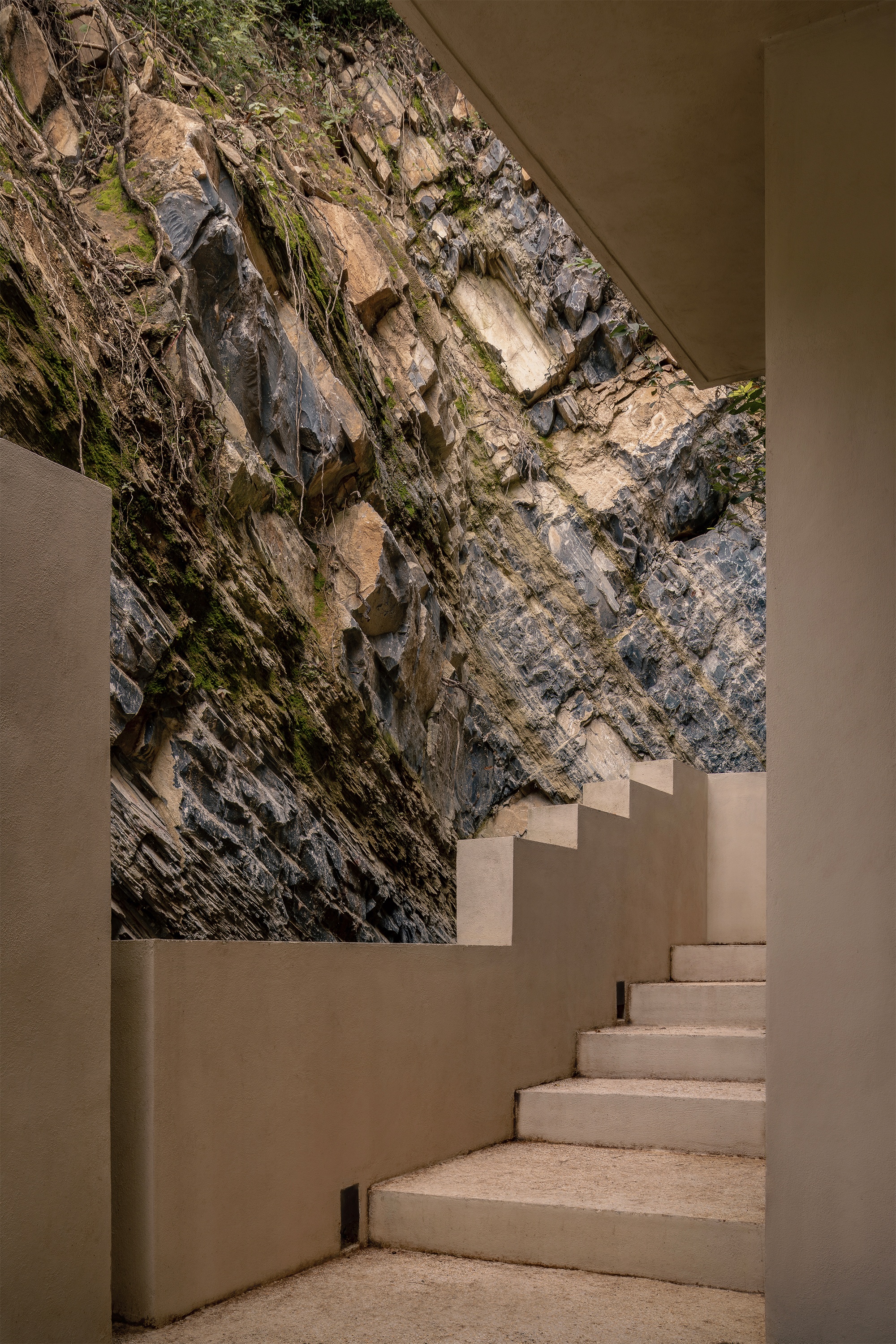 埃尔恩西诺丨墨西哥丨Práctica Arquitectura-15