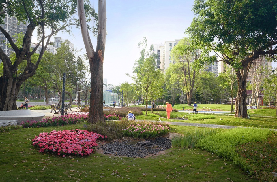 宝安中心区四季公园丨译地事务所-39