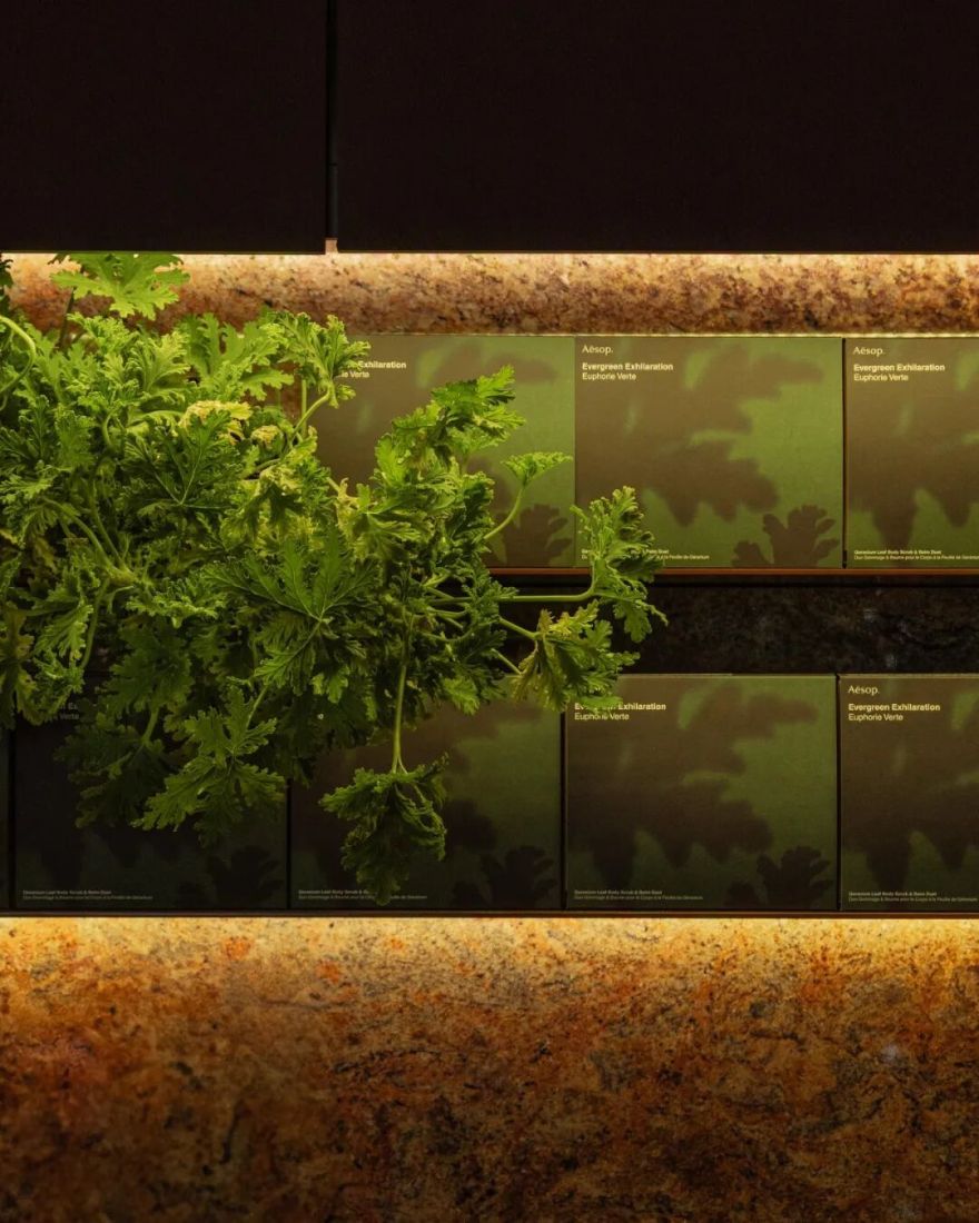 Aesop新加坡高岛屋“石笼”概念店设计-21