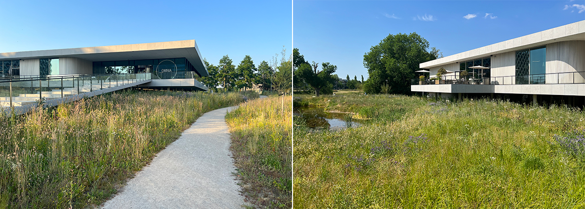 Natte natuurtuin Omnia（Omnia湿地自然花园）丨Broekbakema-5