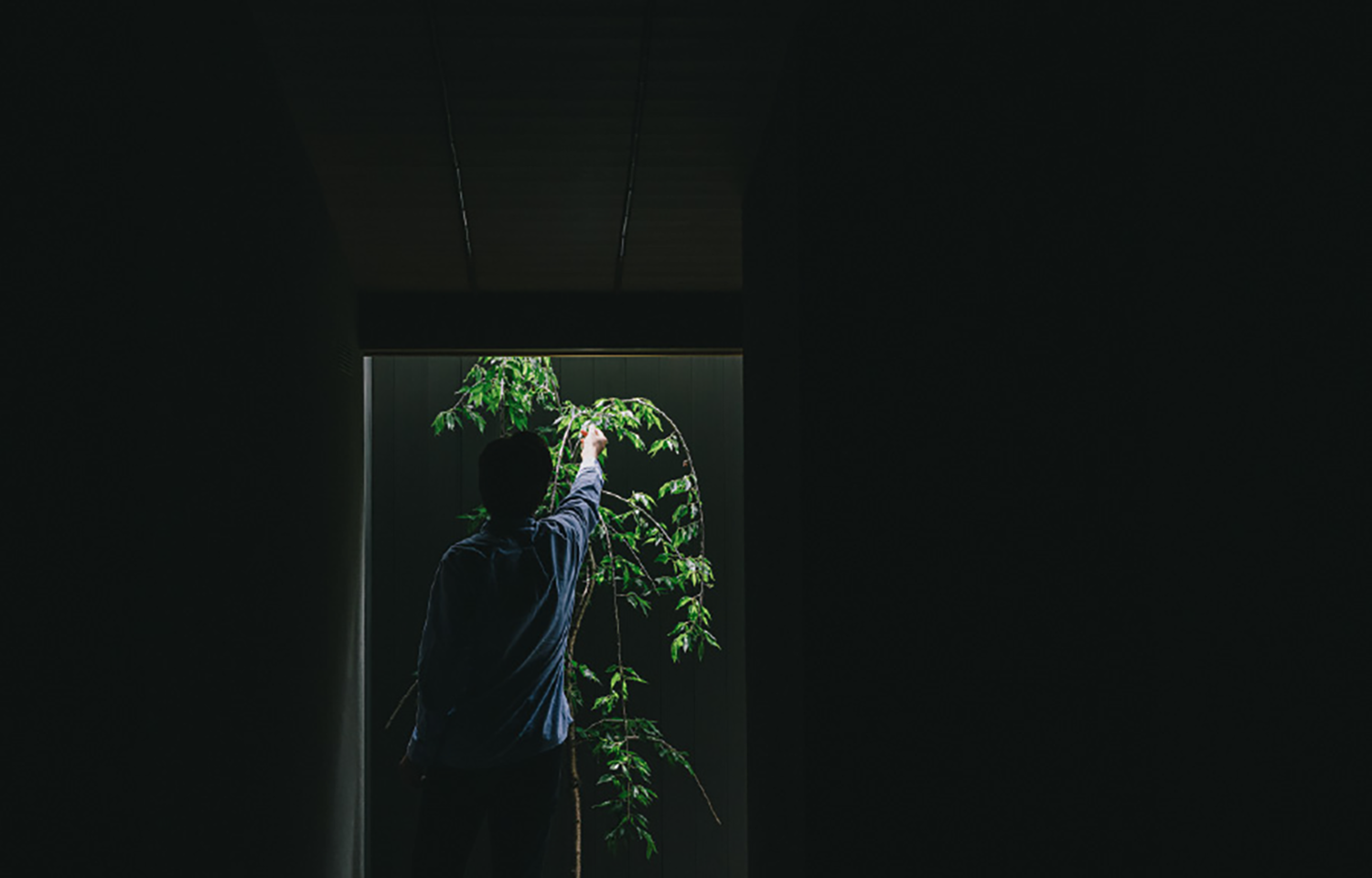 长野之家丨日本长野丨Tomoko Fukayama,熊谷隆-20