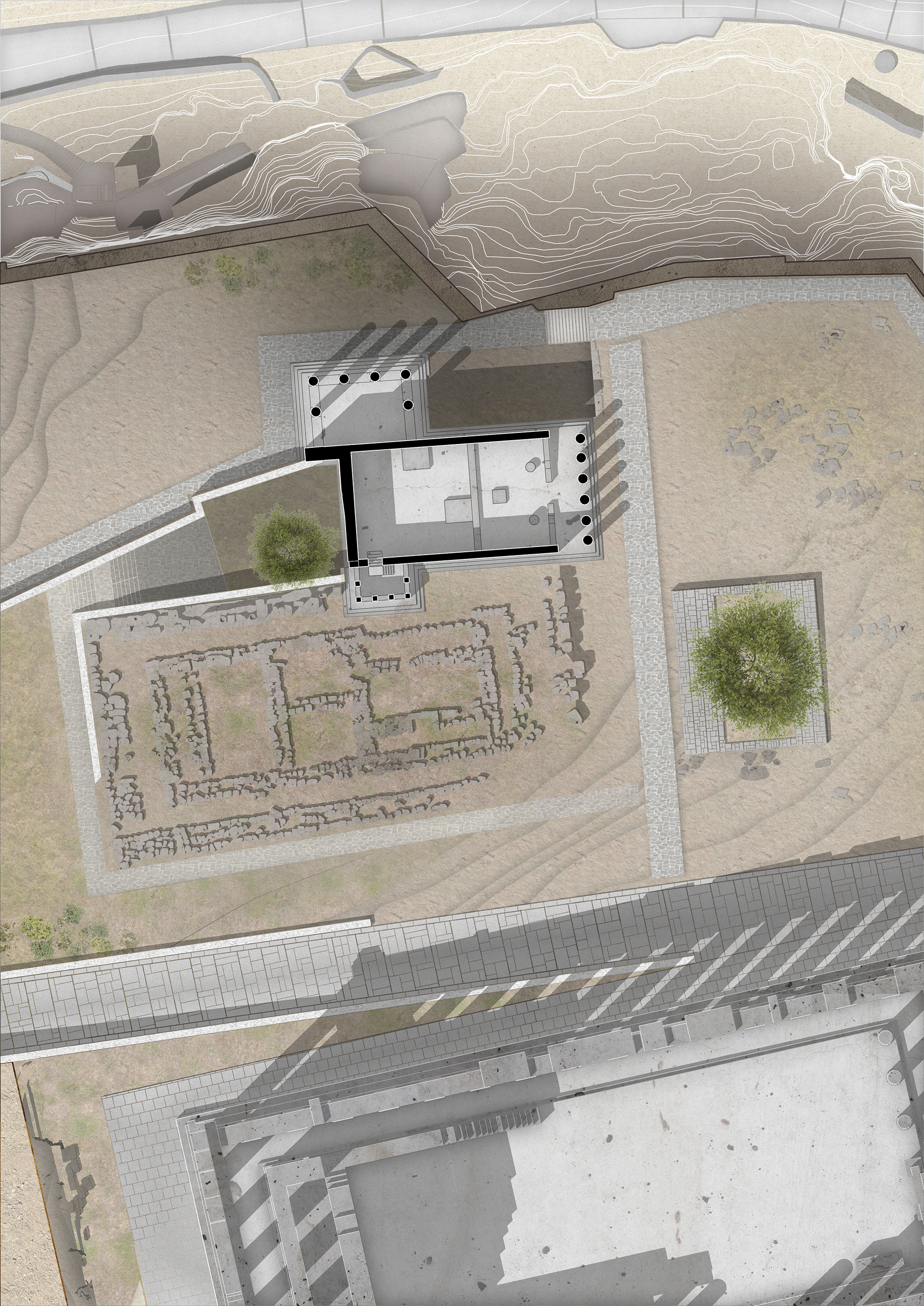 雅典娜记忆  雅典娜的记忆丨Caporaletti Marco 等-14