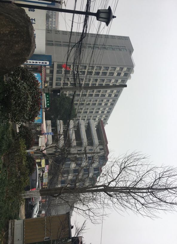 杭州大家生活艺术馆 | 极简景观与生活品质的融合-29