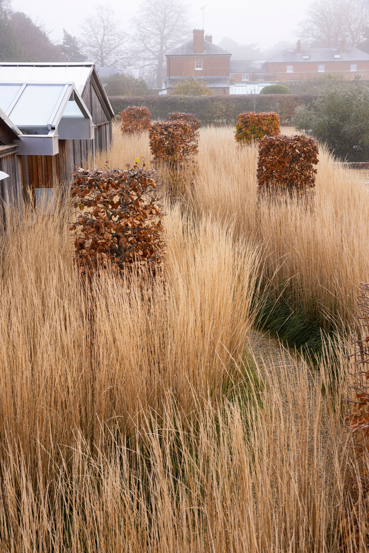 诗意中游弋 | Colm Joseph-143