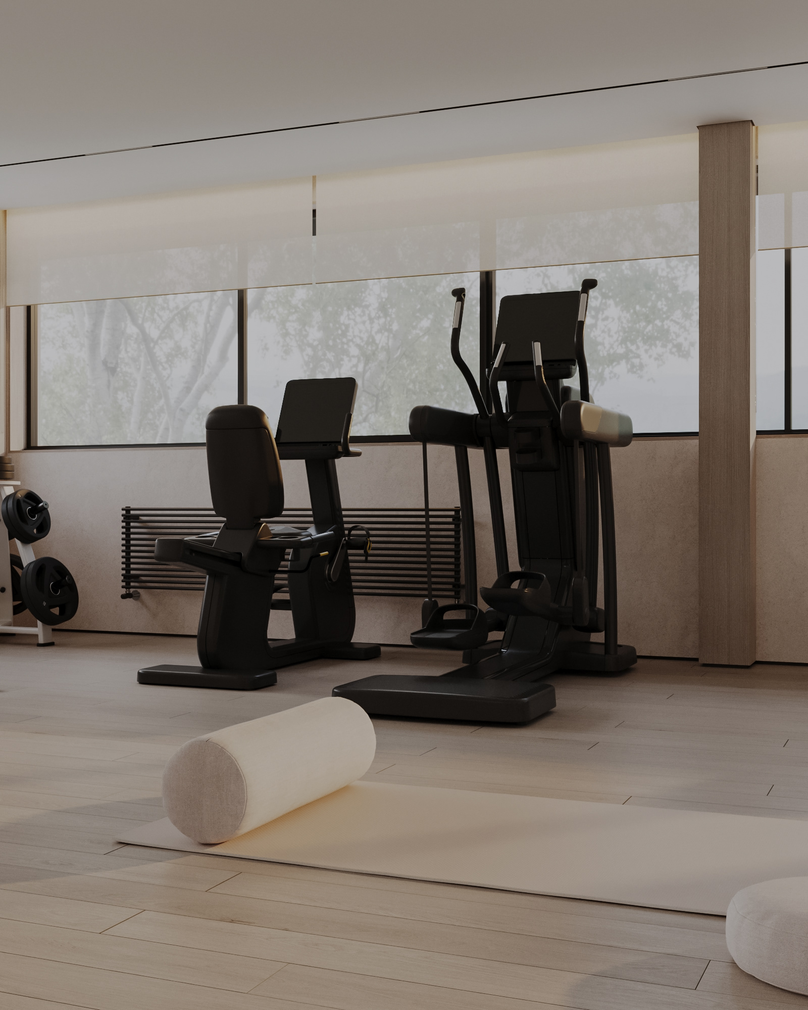 Sochi私人住宅健身区及休闲区设计-4