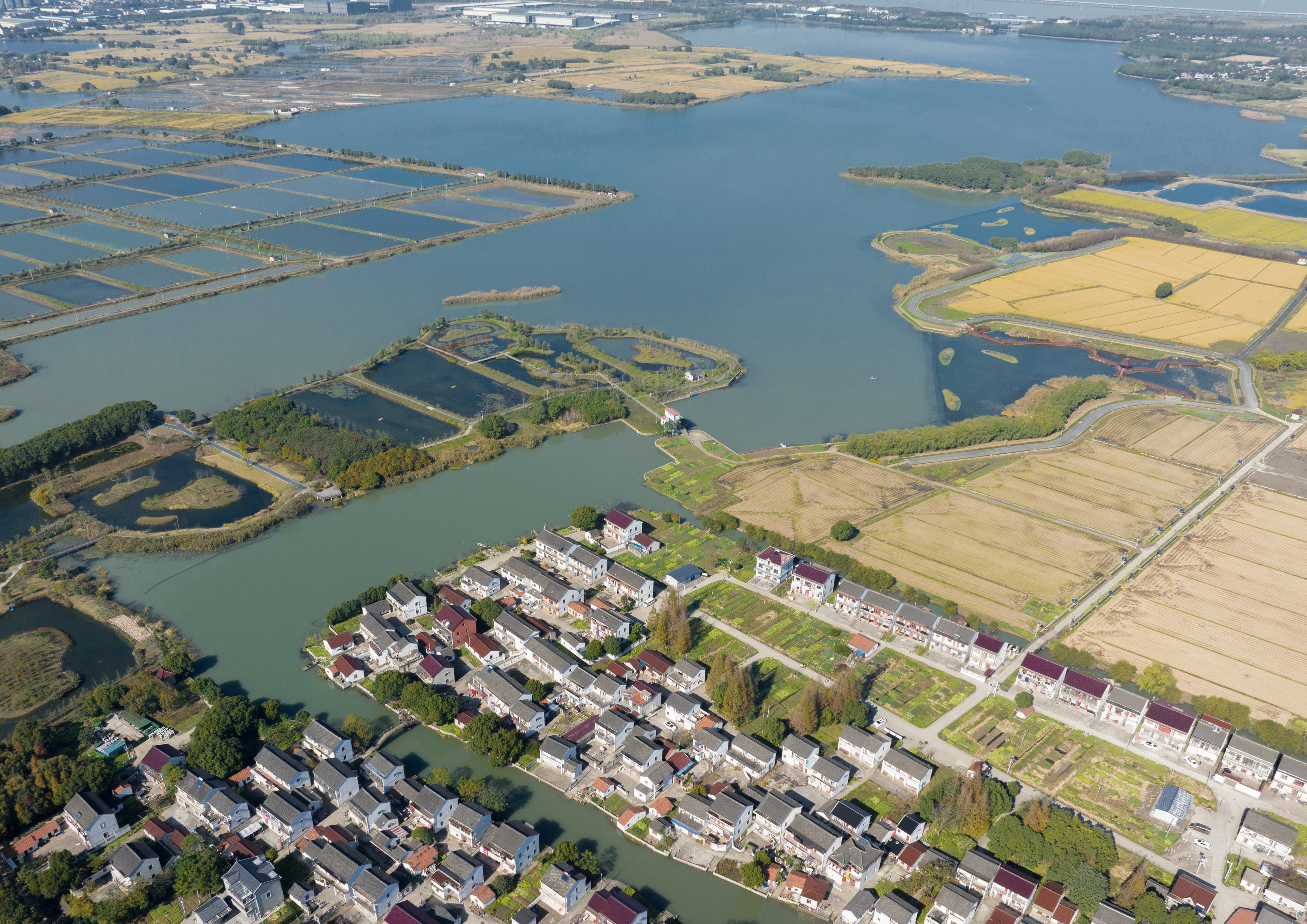 海滨农庄重生丨上海园林设计研究总院-9