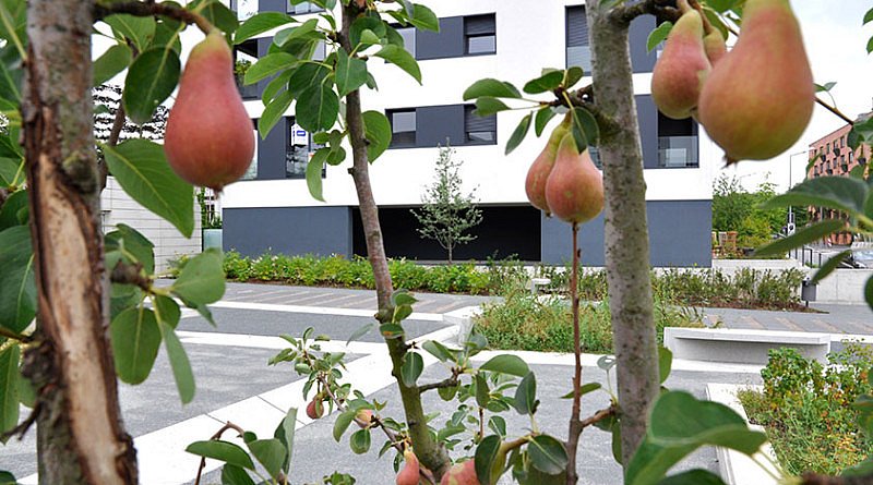 卢森堡Grünewald新住宅区规划丨OKRA景观建筑师事务所-0