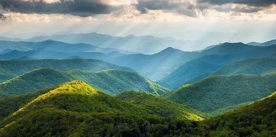 UTIEN | 青山料理 | 简约自然，精致细腻-0