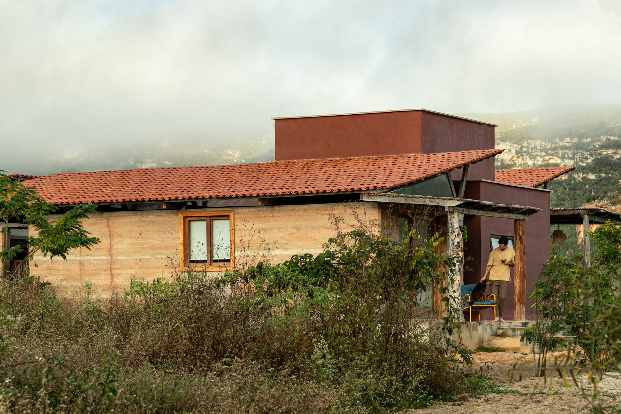 丨巴西伯南布哥丨AzulPitanga-44