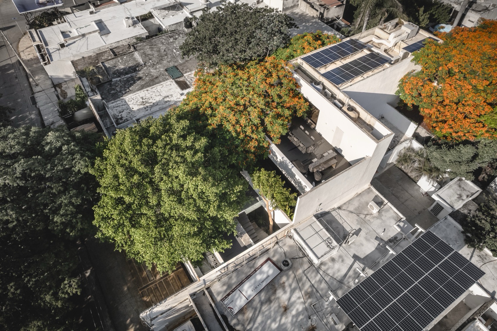 THE ASYLUM办公空间丨墨西哥丨Arkham Projects-4