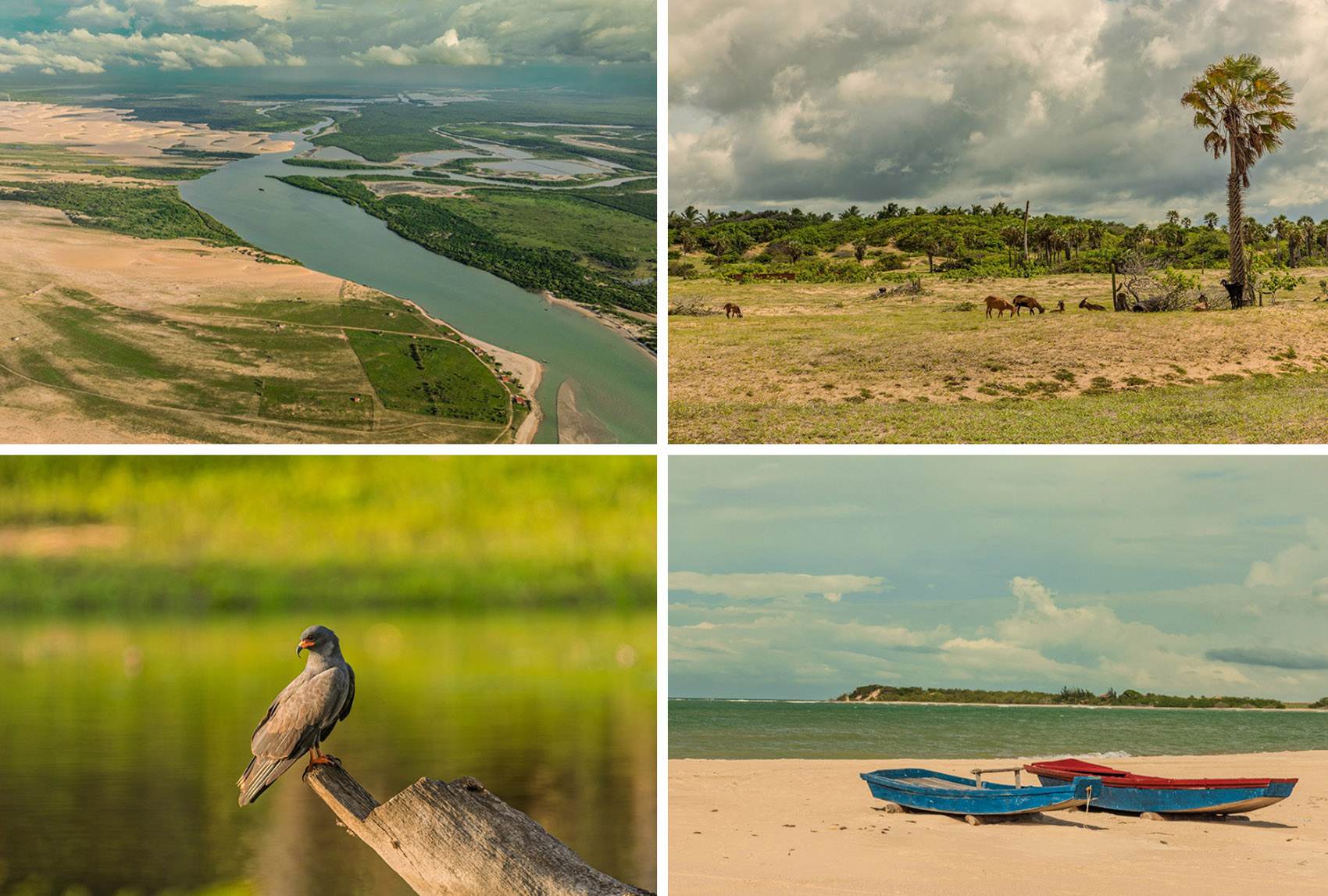 Casa Daia度假屋丨巴西塞阿拉丨UNA barbara e valentim-53