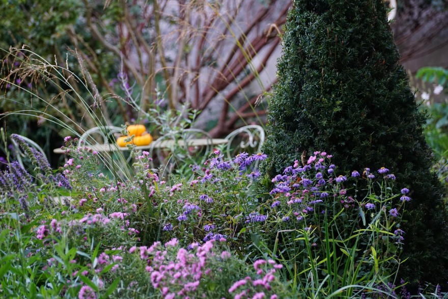 圣基兰城堡公园内400平方米英式田园风花园丨法国丨Opus Paysage Alexandre Tonnerre-9