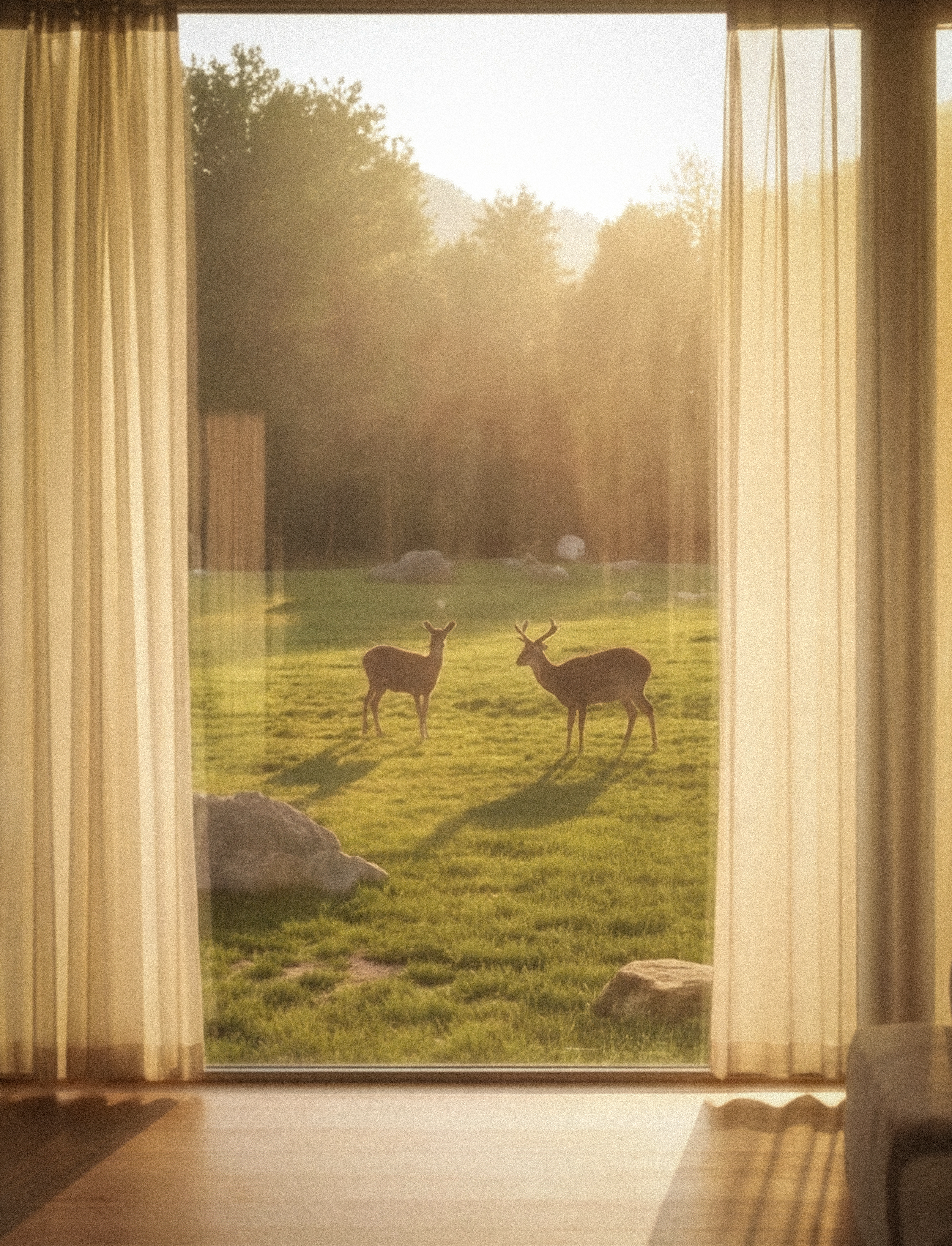 《镜盒》嘀嗒渲染大赛作品丨JS见山-4