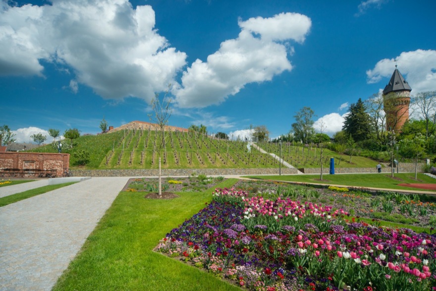 城市花园复兴 · 德国布尔城市中心更新-13